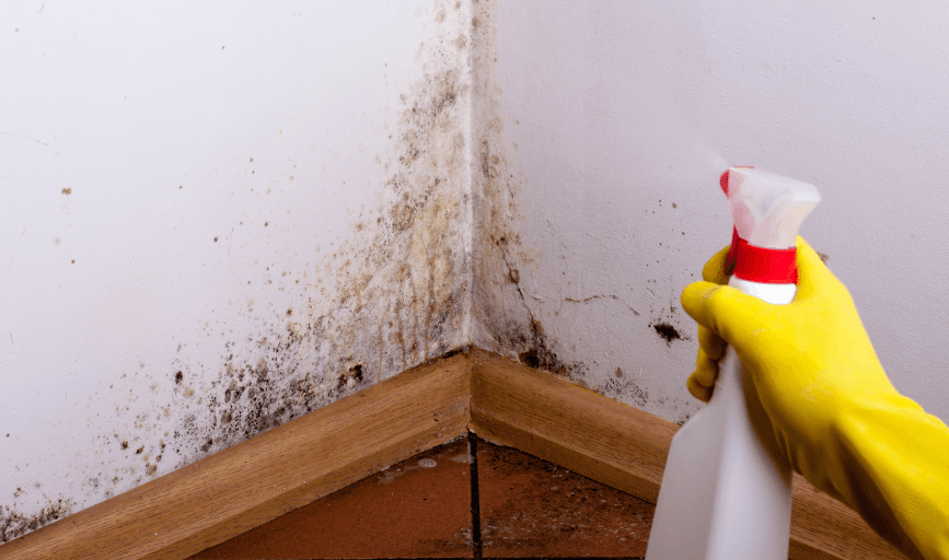 Tangee’s Cleaning